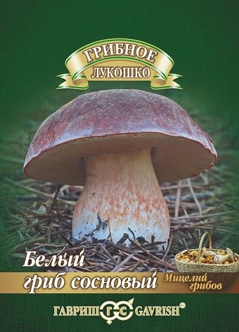 Грибы Белый гриб Сосновый на зерновом субстрате (ГАВРИШ) 15мл