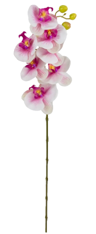Орхидея Фаленопсис124см Арт-13001-638-313-312 одиночная Орхидея Фаленопсис124см Арт-13001-638-313-312 одиночная