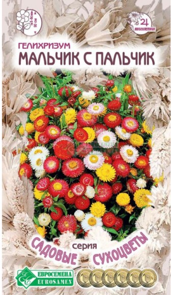 Цветы Гелихризум Мальчик с пальчик ЦВ/П (ЕС) 0,1гр однолетник сухоцвет 90см