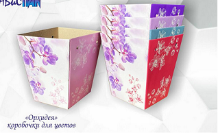 Коробка для Горшечн и Срезочн цветов Орхидея Яр.розовая L18см W18см H20см