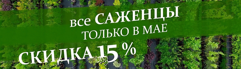 /sad-i-ogorod/lukovica-sazhency-luk-sevok/