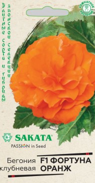Цветы Бегония Фортуна Оранж F1 ЦВ/П (ГАВРИШ) 4шт комнатное до 20см