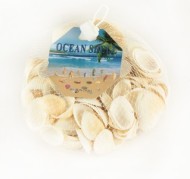 Набор Ракушек 150гр Арт-A035