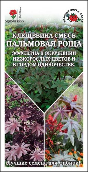 Цветы Клещевина Пальмовая Роща Смесь ЦВ/П (СОТКА) 3шт однолетник 1,2-2,5м
