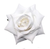 Бутон Розы Белый Цена за 1шт Бутон Розы Белый Цена за 1шт