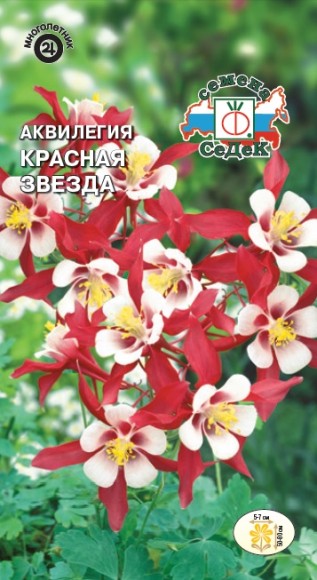 Цветы Аквилегия Красная Звезда ЦВ/П (СЕДЕК) 0,05гр многолетник 50-80см Цветы Аквилегия Красная Звезда ЦВ/П (СЕДЕК) 0,05гр многолетник 50-80см