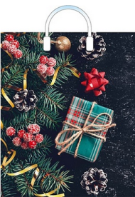 Сумочка пакет п/э 380*450мм Сюрприз Арт-49966