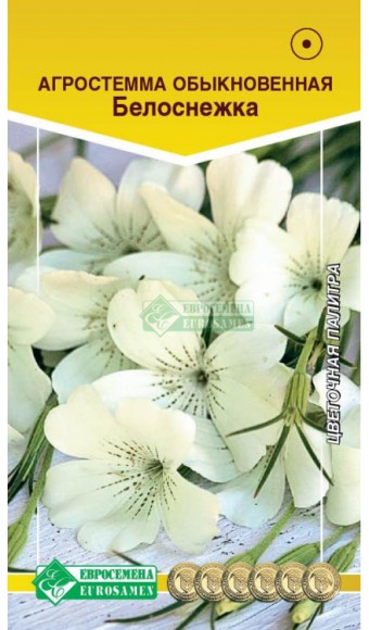 Цветы Агростемма Белоснежка ЦВ/П (ЕС) 0,2гр однолетник до 1м