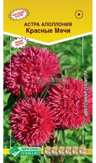 Цветы Астра Аполлония Красные мячи ЦВ/П (ЕС) 0,1гр однолетник 60-70см