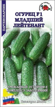 Огурец Младший лейтенант F1 ЦВ/П (СОТКА) 0,15гр ранний пучковый партенокарпический