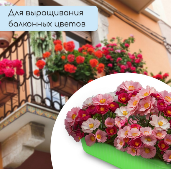 Горшок Ящик для рассады 285×155×85мм Зелёный Greengo Арт-9035822