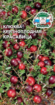 Клюква Красавица ЦВ/П (СЕДЕК) 0,05гр кустарник 20-30см