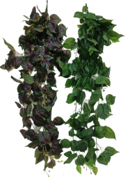 Ветка Плюща 120 см свисающая Арт-2229 Ветка Плюща 120 см свисающая Арт-2229