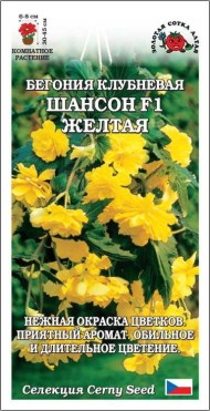 Цветы Бегония Шансон Жёлтая F1 ЦВ/П (СОТКА) 5шт комнатное 30-45см