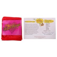 Игровой набор театр-экспромт Принц и красавица 628272 14,8*21см