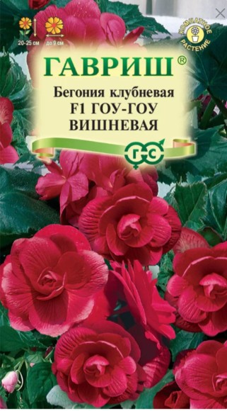 Цветы Бегония Гоу-Гоу Вишнёвая F1 ЦВ/П (ГАВРИШ) 4шт комнатное до 25см