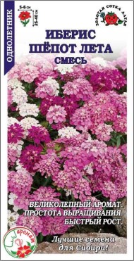 Цветы Иберис Шепот лета ЦВ/П (СОТКА) 0,3гр однолетник 25-40см