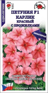 Цветы Петуния Карлик Красный с прожилками ЦВ/П (СОТКА) 10шт однолетник 15-20см