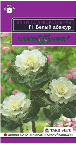 Цветы Капуста декоративная Белый Абажур F1 ЦВ/П (ГАВРИШ) 4шт однолетник