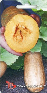 Тыква Стофунтовая Б/П (ПЛАЗМА) 2гр среднеспелый