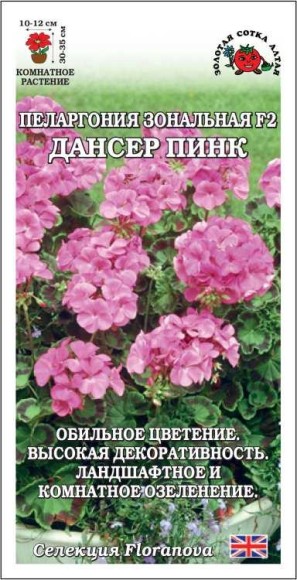 Цветы Пеларгония Дансер Пинк F2 ЦВ/П (СОТКА) 3шт комнатное 30-35см
