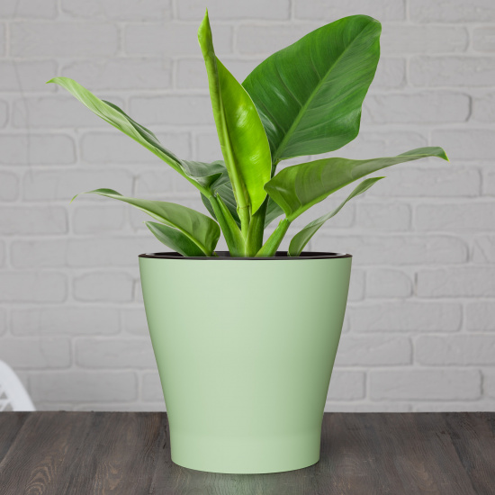 Горшок Лея 5лит Светло-Зелёный (с дренажной системой)