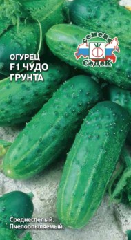 Огурец Чудо грунта F1 ЦВ/П (СЕДЕК) 0,3гр среднеспелый