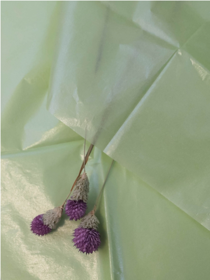 Бумага листами Тишью 50*66см Жемчужная Оливковая (1уп/10шт) ЦЕНА за лист Бумага листами Тишью 50*66см Жемчужная Оливковая (1уп/10шт) ЦЕНА за лист