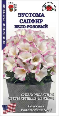 Цветы Эустома Сапфир Бело-Розовый махровый ЦВ/П (СОТКА) 5шт комнатное 10-15см