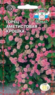 Цветы Горец Аметистовая Крошка ЦВ/П (СЕДЕК) 0,1гр однолетник 10см