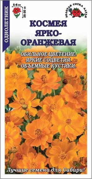 Цветы Космея Ярко-Оранжевая ЦВ/П (СОТКА) 0,3гр однолетник 25-30см