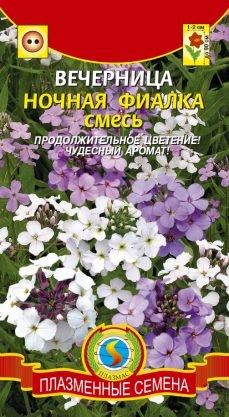 Цветы Вечерница Ночная фиалка Смесь ЦВ/П (ПЛАЗМА) 0,2гр двулетник 80см