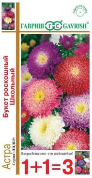 Цветы Астра Букет роскошный Школьный Смесь ЦВ/П (ГАВРИШ) серия 1+1 0,5гр однолетник до 70см Цветы Астра Букет роскошный Школьный Смесь ЦВ/П (ГАВРИШ) серия 1+1 0,5гр однолетник до 70см