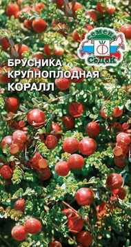 Брусника Коралл ЦВ/П (СЕДЕК) 0,05гр многолетник 25-30см