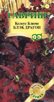 Цветы Колеус Блэк Драгон ЦВ/П (ГАВРИШ) 4шт однолетник 25-30см Цветы Колеус Блэк Драгон ЦВ/П (ГАВРИШ) 4шт однолетник 25-30см