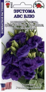 Цветы Эустома АВС Блю ЦВ/П (СОТКА) 5шт комнатное 75-100см
