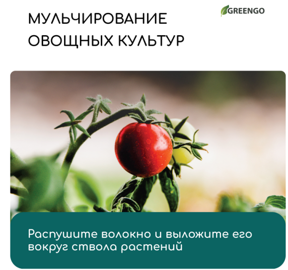 Кокосовое волокно 20лит GREENGO (1уп/1шт) Кокосовое волокно 20лит GREENGO (1уп/1шт)