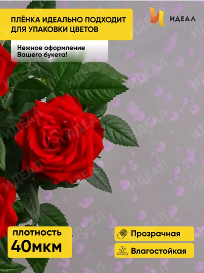 Пленка прозрачная с рисунком Пузыри Сиреневая 70см/200гр
