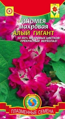 Цветы Ипомея Алый гигант Махров ЦВ/П (ПЛАЗМА) 0,1гр однолетник до 2м Цветы Ипомея Алый гигант Махров ЦВ/П (ПЛАЗМА) 0,1гр однолетник до 2м