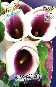 Калла Вермеер (1уп/2шт)