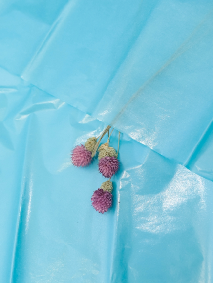 Бумага листами Тишью 50*66см Жемчужная Бирюзовая (1уп/10шт) ЦЕНА за лист Бумага листами Тишью 50*66см Жемчужная Бирюзовая (1уп/10шт) ЦЕНА за лист