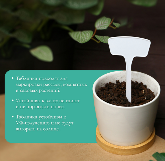 Набор табличек 20см*10штук Greengo Арт-9682386