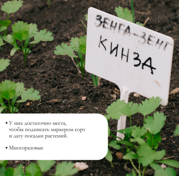 Набор табличек 20см*10штук Greengo Арт-9682386