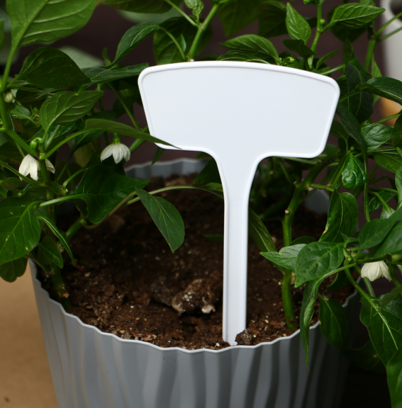 Набор табличек 20см*10штук Greengo Арт-9682386