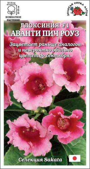 Цветы Глоксиния Аванти Пич Роуз ЦВ/П (СОТКА) 5шт комнатное