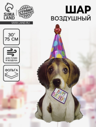 Шар фольгированный 30/76см Щенок в колпаке Арт-10947587