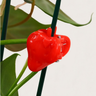 Клипса для растений Клубника набор 10шт (Цена за УПАКОВКУ)