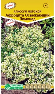 Цветы Алиссум Афродита Освежающий лимонад ЦВ/П (ЕС) 0,02гр однолетник 30см