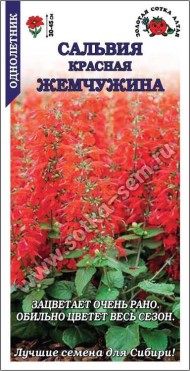 Цветы Сальвия Красная жемчужина ЦВ/П (СОТКА) 0,1гр однолетник 30-45см