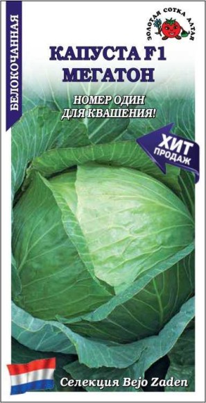 Капуста б/к Мегатон F1 ЦВ/П (СОТКА) 10шт среднепоздний